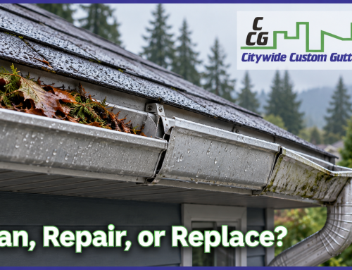 Do Your Gutters Need Cleaning, Repair, or Replacement?
